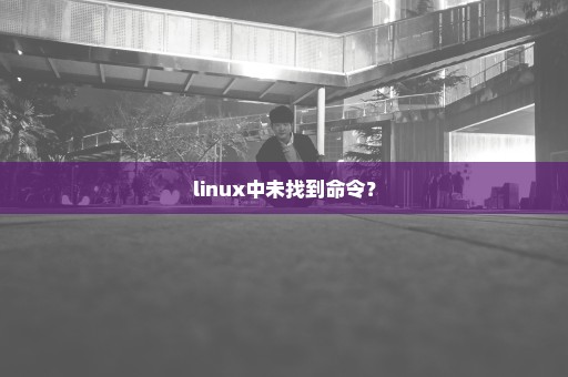 linux中未找到命令？