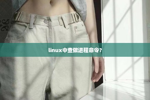 linux中查做进程命令？