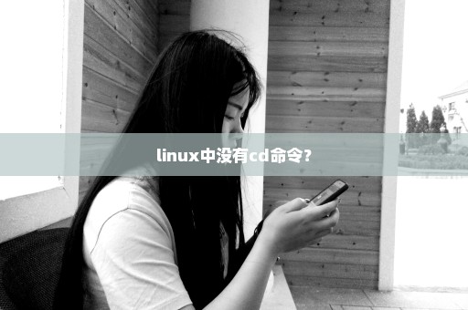 linux中没有cd命令？