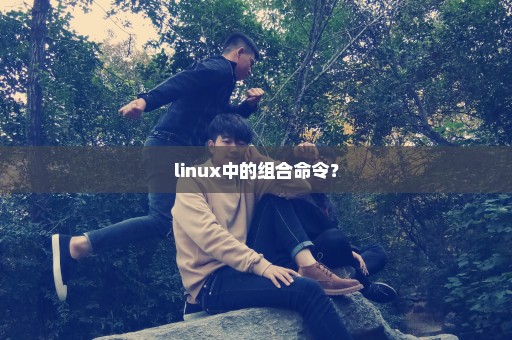 linux中的组合命令？