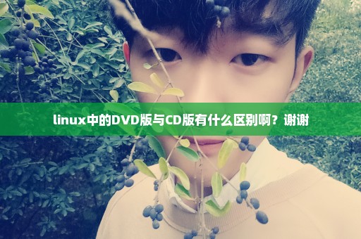 linux中的DVD版与CD版有什么区别啊？谢谢