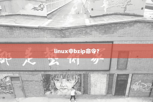 linux中bzip命令？