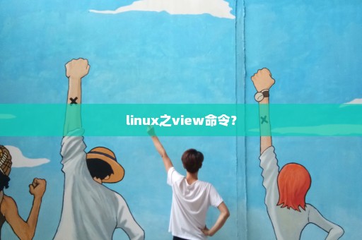 linux之view命令？