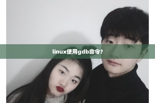 linux使用gdb命令？