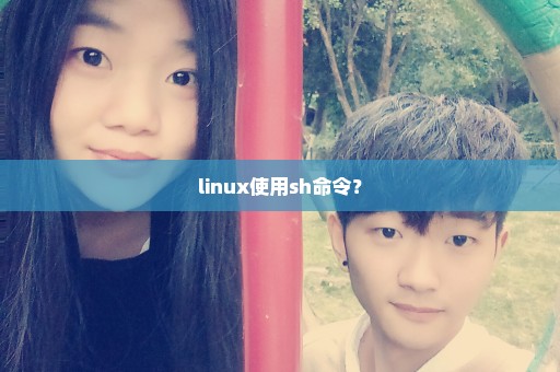 linux使用sh命令？