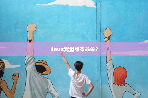 linux光盘版本命令？