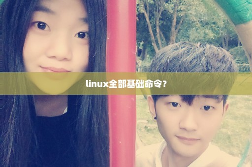 linux全部基础命令？