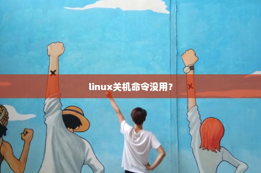 linux关机命令没用？