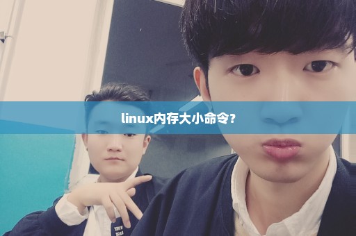 linux内存大小命令？