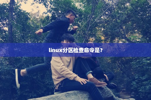 linux分区检查命令是？