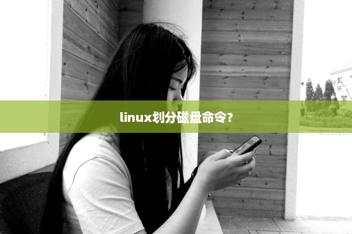 linux划分磁盘命令？