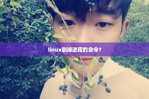 linux删掉进程的命令？