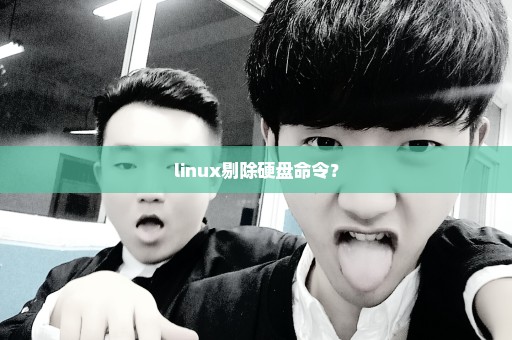 linux剔除硬盘命令？