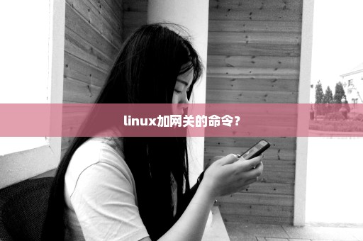 linux加网关的命令？