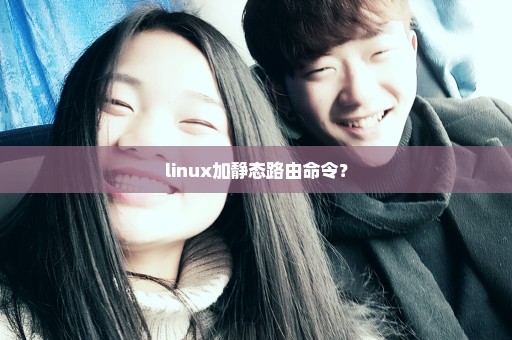 linux加静态路由命令？