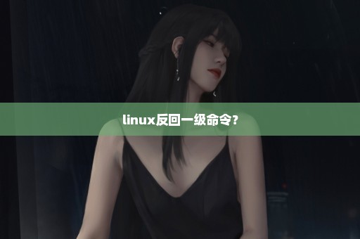 linux反回一级命令？