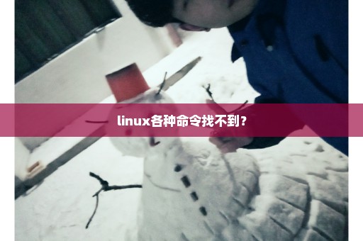 linux各种命令找不到？