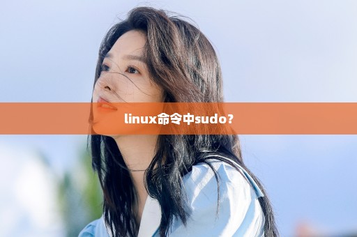 linux命令中sudo？