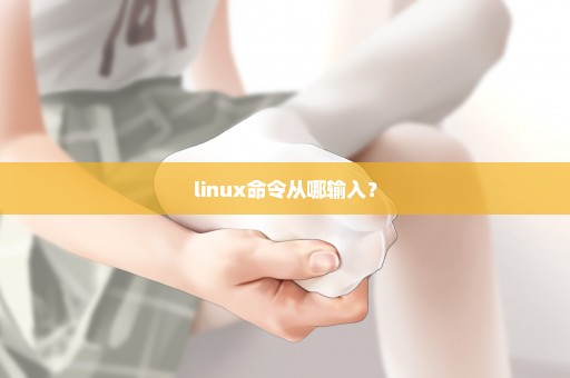 linux命令从哪输入？