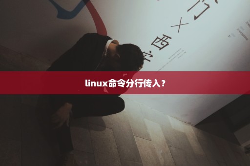 linux命令分行传入？