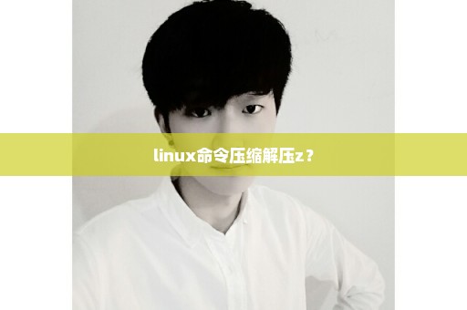 linux命令压缩解压z？