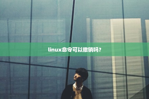 linux命令可以撤销吗？