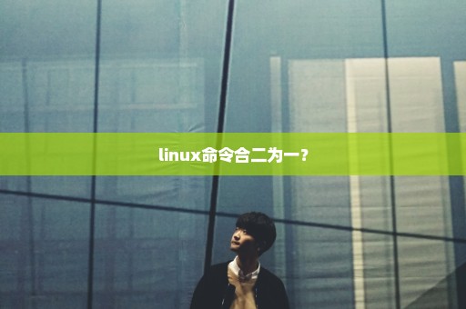 linux命令合二为一？