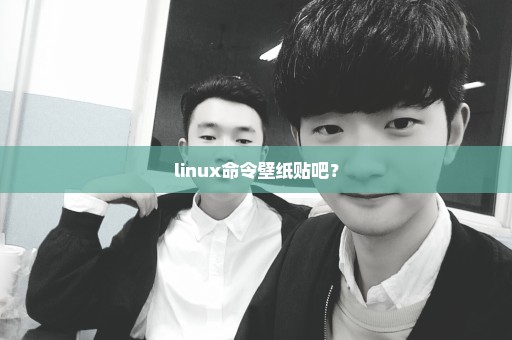 linux命令壁纸贴吧？