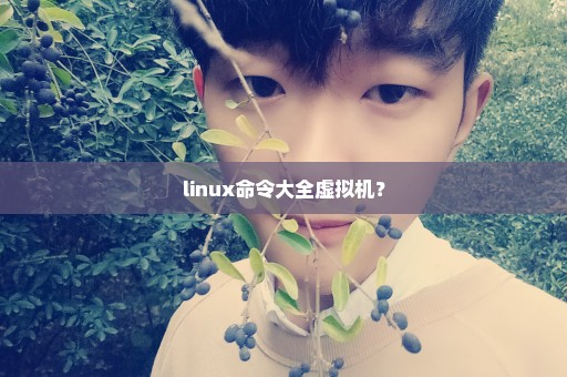 linux命令大全虚拟机？