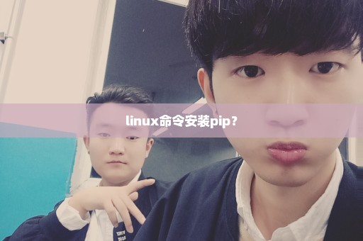 linux命令安装pip？