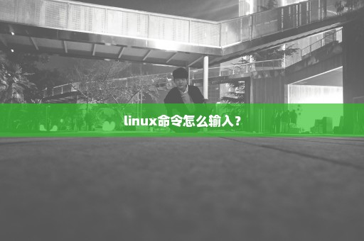 linux命令怎么输入？