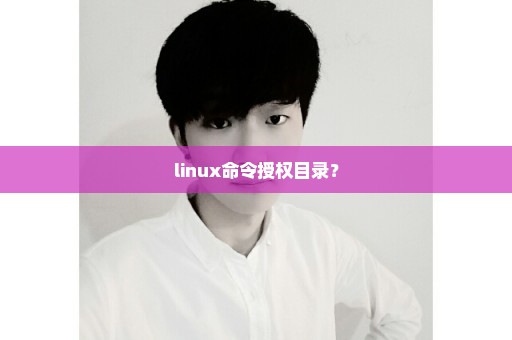 linux命令授权目录？