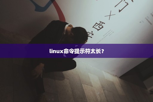 linux命令提示符太长？