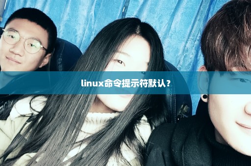 linux命令提示符默认？