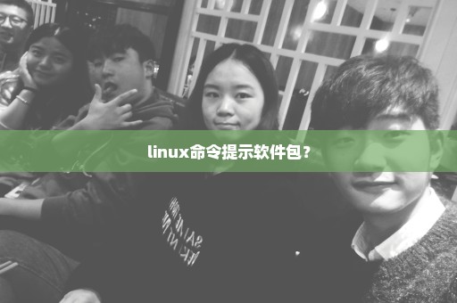 linux命令提示软件包？