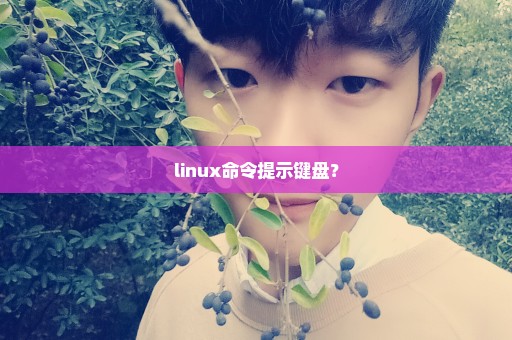 linux命令提示键盘？