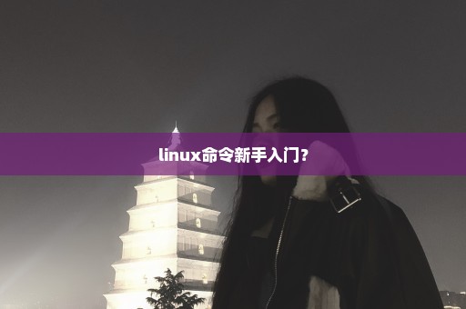 linux命令新手入门？