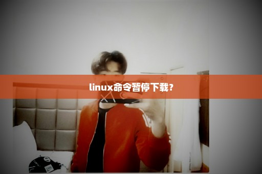 linux命令暂停下载？