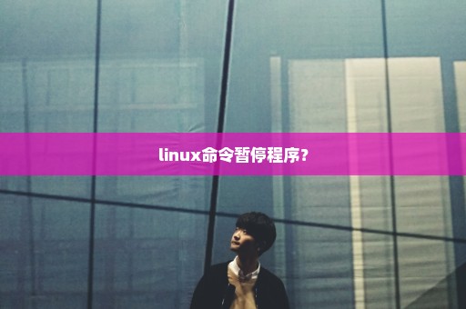 linux命令暂停程序？