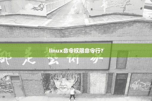 linux命令权限命令行？