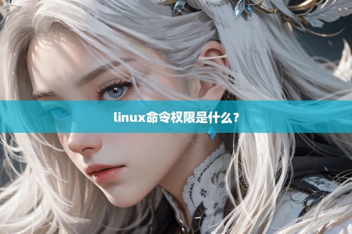 linux命令权限是什么？