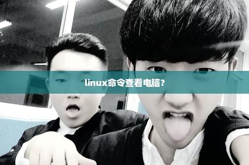 linux命令查看电脑？