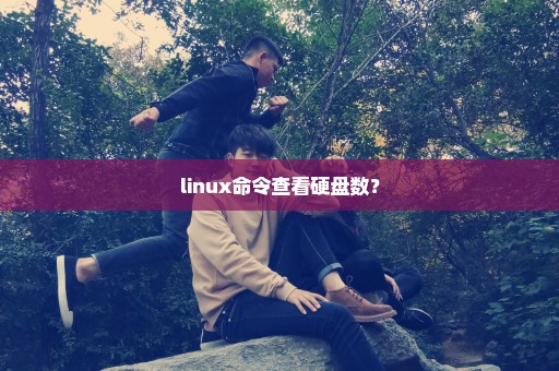 linux命令查看硬盘数？