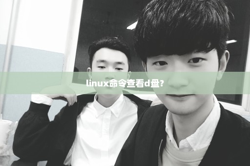 linux命令查看d盘？