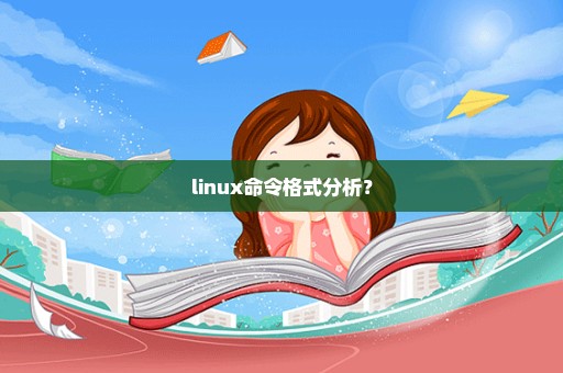 linux命令格式分析？