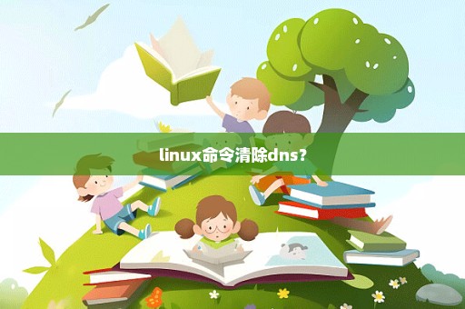 linux命令清除dns？