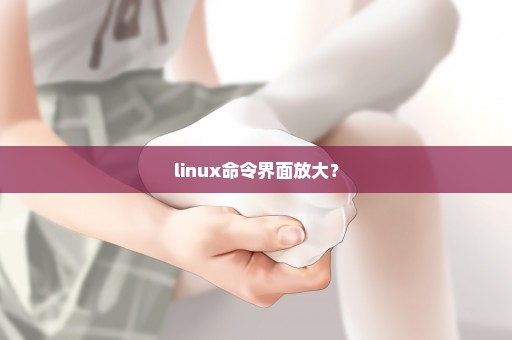 linux命令界面放大？