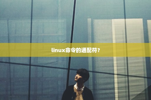 linux命令的通配符？