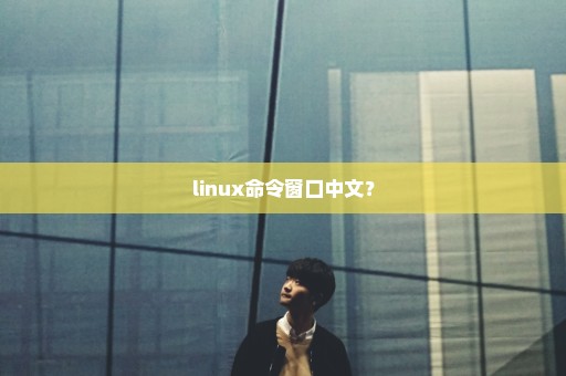 linux命令窗口中文？