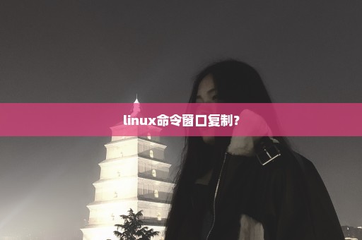 linux命令窗口复制？